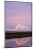 Mount Mckinley at Sunset in Denali National Park-Paul Souders-Mounted Photographic Print