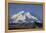 Mount McKinley, Denali National Park, Alaska, USA-Gerry Reynolds-Framed Premier Image Canvas