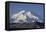 Mount McKinley, Denali National Park, Alaska, USA-Gerry Reynolds-Framed Premier Image Canvas