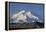 Mount McKinley, Denali National Park, Alaska, USA-Gerry Reynolds-Framed Premier Image Canvas