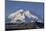 Mount McKinley, Denali National Park, Alaska, USA-Gerry Reynolds-Mounted Photographic Print