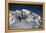 Mount Mckinley, Denali-Carol Highsmith-Framed Stretched Canvas