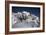 Mount Mckinley, Denali-Carol Highsmith-Framed Photo