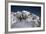 Mount Mckinley, Denali-Carol Highsmith-Framed Photo