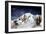 Mount Mckinley, Denali-Carol Highsmith-Framed Photo