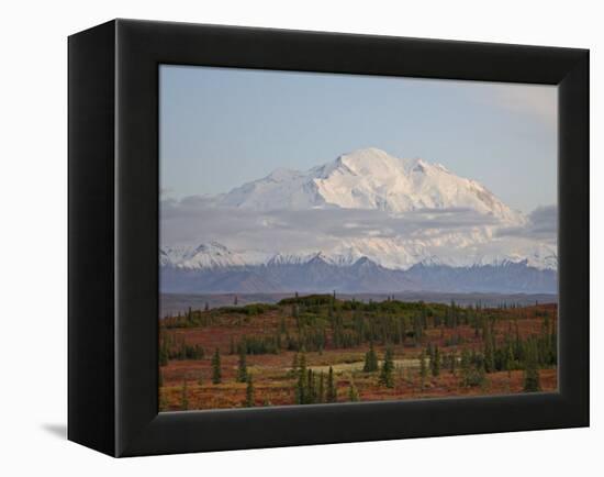 Mount Mckinley (Mount Denali) at Sunset in Fall, Denali National Park and Preserve, Alaska-James Hager-Framed Premier Image Canvas