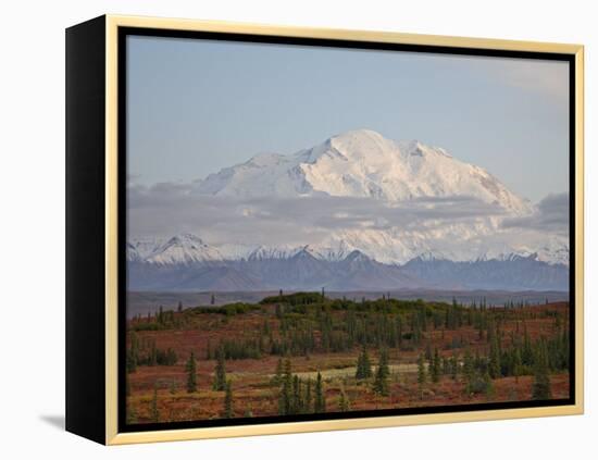 Mount Mckinley (Mount Denali) at Sunset in Fall, Denali National Park and Preserve, Alaska-James Hager-Framed Premier Image Canvas