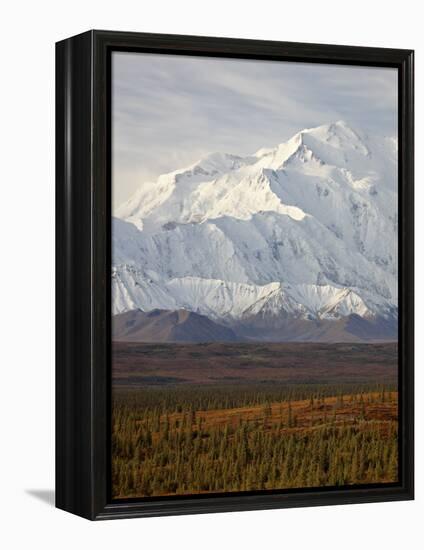 Mount Mckinley (Mount Denali), Denali National Park and Preserve, Alaska, United States of America-James Hager-Framed Premier Image Canvas