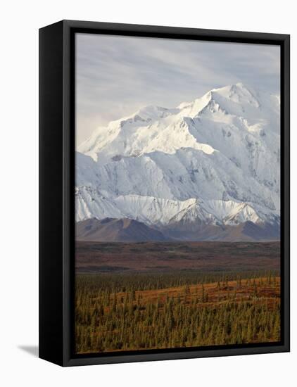 Mount Mckinley (Mount Denali), Denali National Park and Preserve, Alaska, United States of America-James Hager-Framed Premier Image Canvas