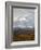 Mount Mckinley (Mount Denali), Denali National Park and Preserve, Alaska, United States of America-James Hager-Framed Photographic Print