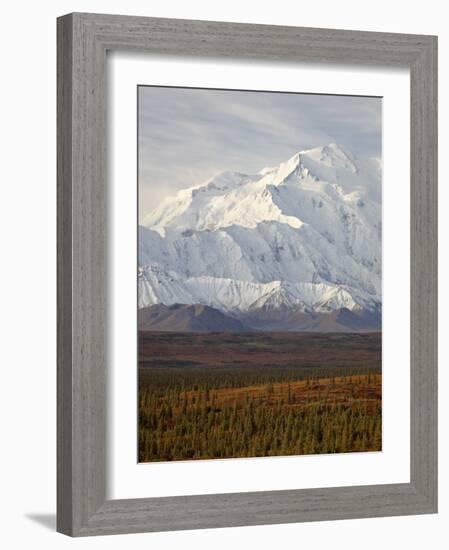 Mount Mckinley (Mount Denali), Denali National Park and Preserve, Alaska, United States of America-James Hager-Framed Photographic Print