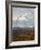 Mount Mckinley (Mount Denali), Denali National Park and Preserve, Alaska, United States of America-James Hager-Framed Photographic Print