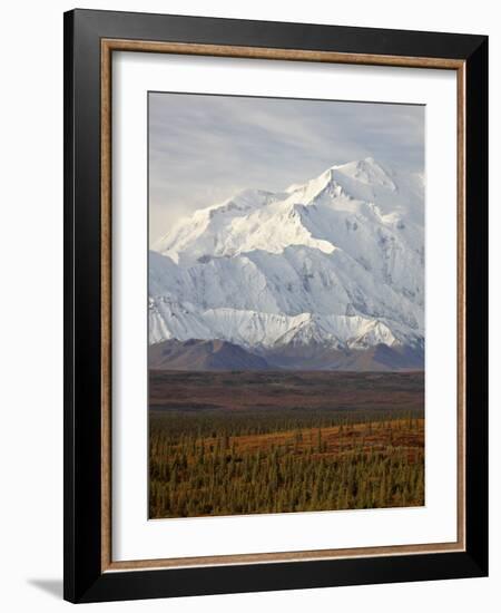 Mount Mckinley (Mount Denali), Denali National Park and Preserve, Alaska, United States of America-James Hager-Framed Photographic Print