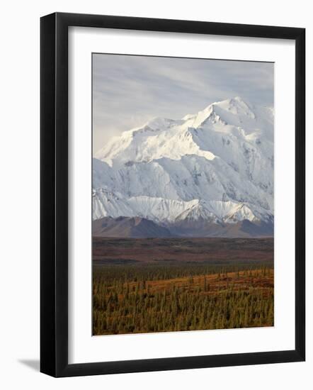 Mount Mckinley (Mount Denali), Denali National Park and Preserve, Alaska, United States of America-James Hager-Framed Photographic Print