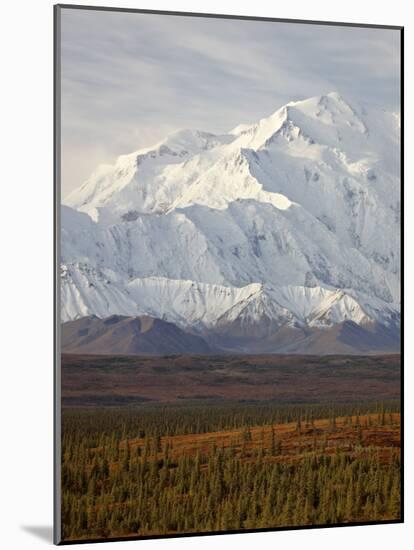 Mount Mckinley (Mount Denali), Denali National Park and Preserve, Alaska, United States of America-James Hager-Mounted Photographic Print