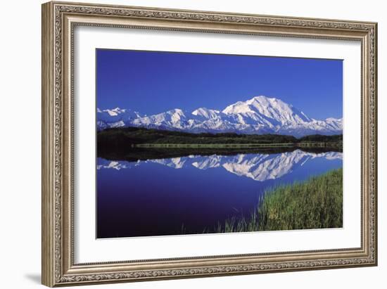 Mount Mckinley Reflected in Pond Denali National-null-Framed Photographic Print