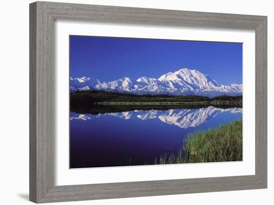 Mount Mckinley Reflected in Pond Denali National-null-Framed Photographic Print