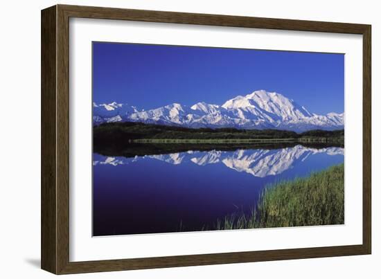 Mount Mckinley Reflected in Pond Denali National-null-Framed Photographic Print