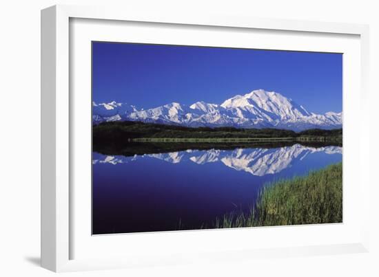 Mount Mckinley Reflected in Pond Denali National-null-Framed Photographic Print