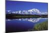 Mount Mckinley Reflected in Pond Denali National-null-Mounted Photographic Print
