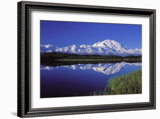 Mount Mckinley Reflected in Pond Denali National-null-Framed Photographic Print