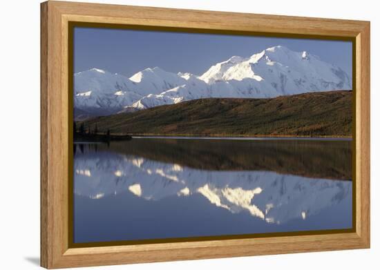 Mount McKinley, Wonder Lake, Sunrise, Denali National Park, Alaska, USA-Gerry Reynolds-Framed Premier Image Canvas