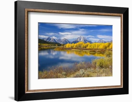 Mount Moran and the Teton Range from Oxbow Bend, Snake River, Grand Tetons National Park, Wyoming-Gary Cook-Framed Photographic Print