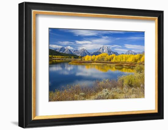 Mount Moran and the Teton Range from Oxbow Bend, Snake River, Grand Tetons National Park, Wyoming-Gary Cook-Framed Photographic Print