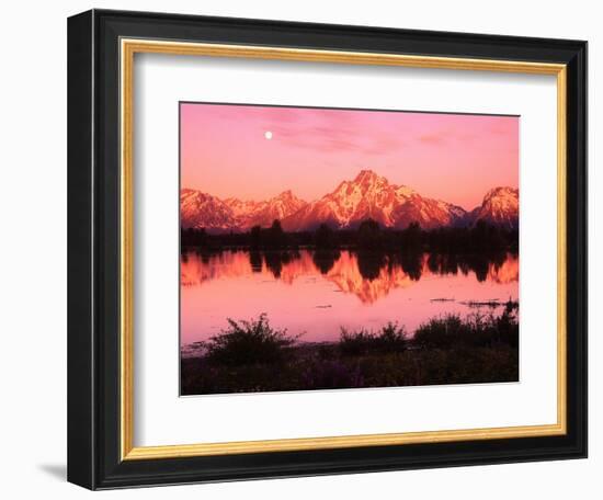 Mount Moran at Dusk-Robert Glusic-Framed Photographic Print