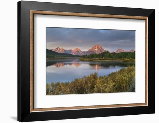 Mount Moran reflected in Snake River at Oxbow Bend at sunrise, Grand Teton NP, WY.-Alan Majchrowicz-Framed Photographic Print