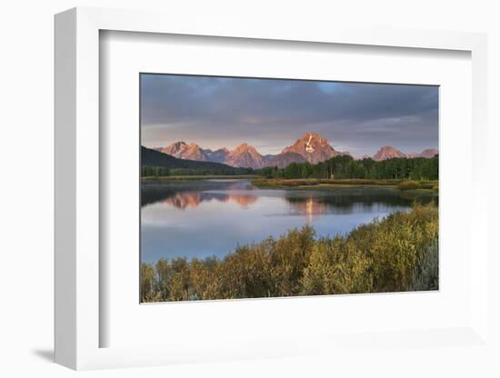 Mount Moran reflected in Snake River at Oxbow Bend at sunrise, Grand Teton NP, WY.-Alan Majchrowicz-Framed Photographic Print