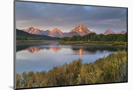 Mount Moran reflected in Snake River at Oxbow Bend at sunrise, Grand Teton NP, WY.-Alan Majchrowicz-Mounted Photographic Print