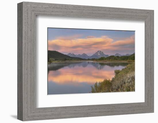 Mount Moran reflected in still waters of the Snake River at Oxbow Bend, Grand Teton NP, WY-Alan Majchrowicz-Framed Photographic Print