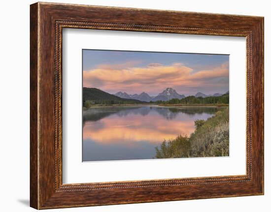 Mount Moran reflected in still waters of the Snake River at Oxbow Bend, Grand Teton NP, WY-Alan Majchrowicz-Framed Photographic Print