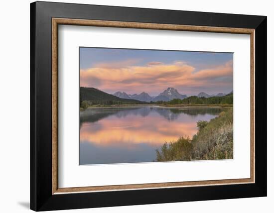 Mount Moran reflected in still waters of the Snake River at Oxbow Bend, Grand Teton NP, WY-Alan Majchrowicz-Framed Photographic Print