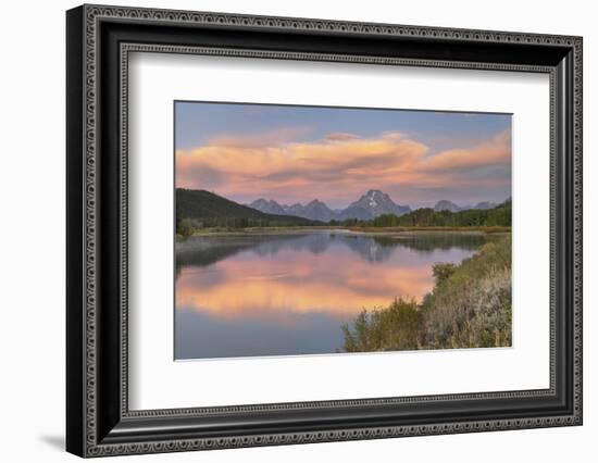 Mount Moran reflected in still waters of the Snake River at Oxbow Bend, Grand Teton NP, WY-Alan Majchrowicz-Framed Photographic Print