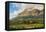 Mount Mulanje at Sunset, Malawi, Africa-Michael Runkel-Framed Premier Image Canvas