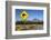 Mount Ngauruhoe with Kiwi Crossing Sign-Stuart-Framed Photographic Print