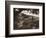 Mount Of Olives-null-Framed Photographic Print