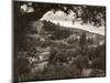 Mount Of Olives-null-Mounted Photographic Print