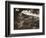 Mount Of Olives-null-Framed Photographic Print