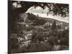 Photographic Print