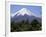 Mount Osorno, a Volcano in Vicente Rosales National Park, Lake District, Chile, South America-Ken Gillham-Framed Photographic Print