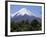 Mount Osorno, a Volcano in Vicente Rosales National Park, Lake District, Chile, South America-Ken Gillham-Framed Photographic Print