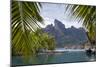 Mount Otemanu As Seen Through Palm Fronds At The Four Seasons Bora Bora. French Polynesia-Karine Aigner-Mounted Photographic Print