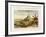 Mount Potosi, Bolivia, C1788-null-Framed Giclee Print