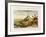 Mount Potosi, Bolivia, C1788-null-Framed Giclee Print