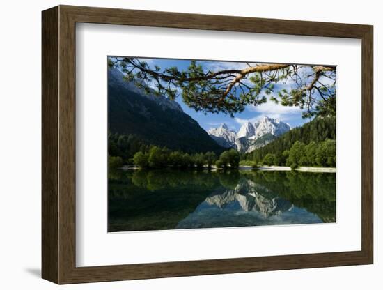 Mount Prisojnik (2,547M) and Mount Razor (2,601M) with Reflection in Pond, Triglav Np, Slovenia-Zupanc-Framed Photographic Print