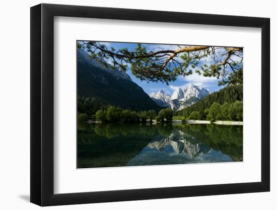 Mount Prisojnik (2,547M) and Mount Razor (2,601M) with Reflection in Pond, Triglav Np, Slovenia-Zupanc-Framed Photographic Print