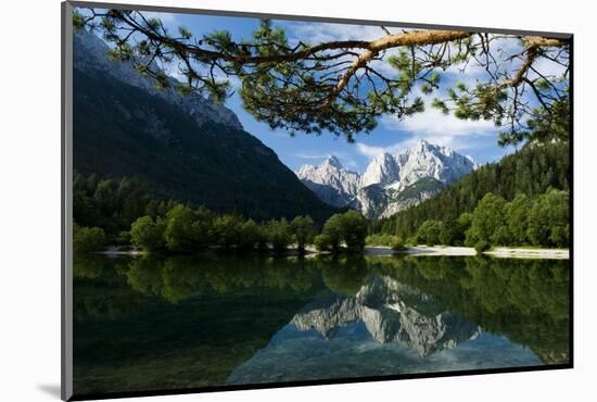 Mount Prisojnik (2,547M) and Mount Razor (2,601M) with Reflection in Pond, Triglav Np, Slovenia-Zupanc-Mounted Photographic Print